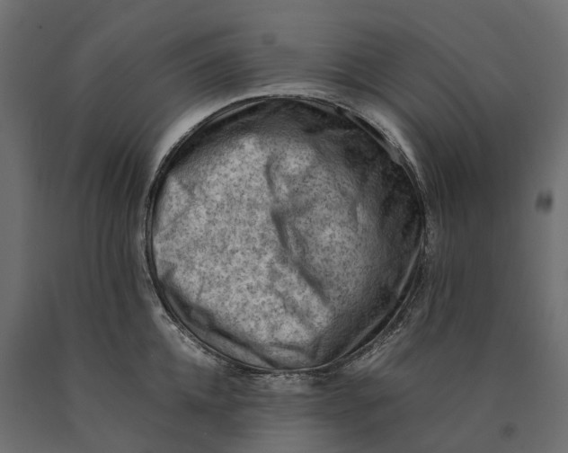 X0000090430952200708031126
