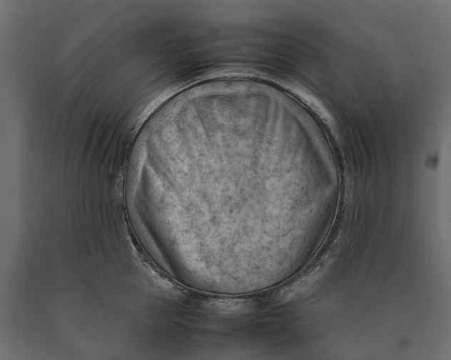 X0000090430953200708031126
