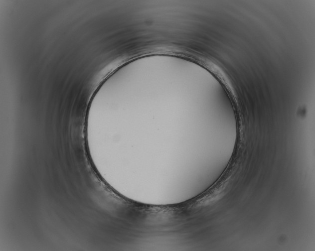 X0000090430954200708031126