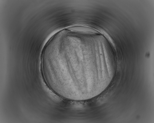 X0000090430955200708031126