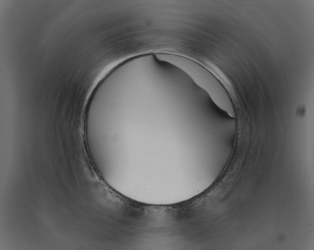 X0000090430956200708031126