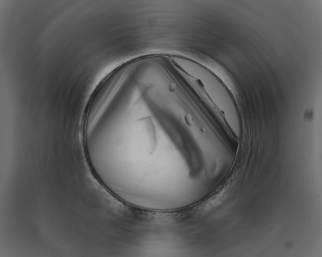 X0000090430958200708031126