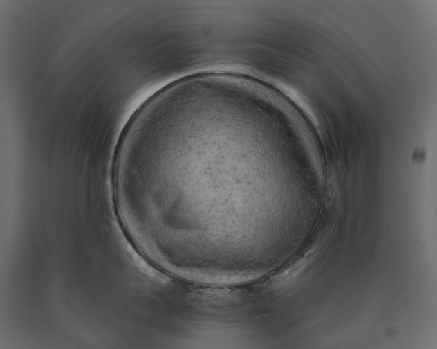 X0000090430959200708031126