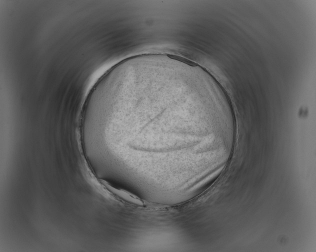 X0000090430960200708031126