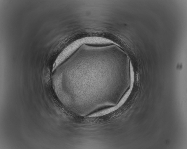 X0000090430963200708031125