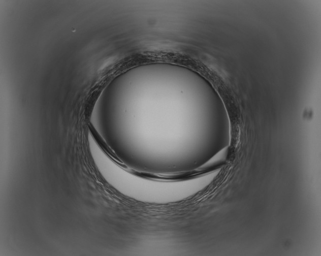 X0000090430965200708031125