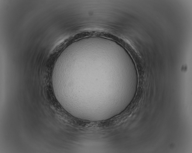 X0000090430967200708031125