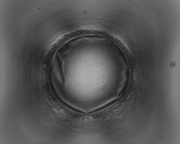 X0000090430968200708031125