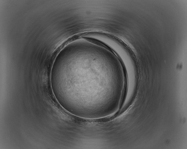 X0000090430969200708031125