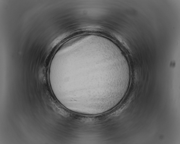 X0000090430970200708031125