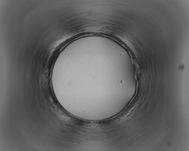 X0000090430971200708031125