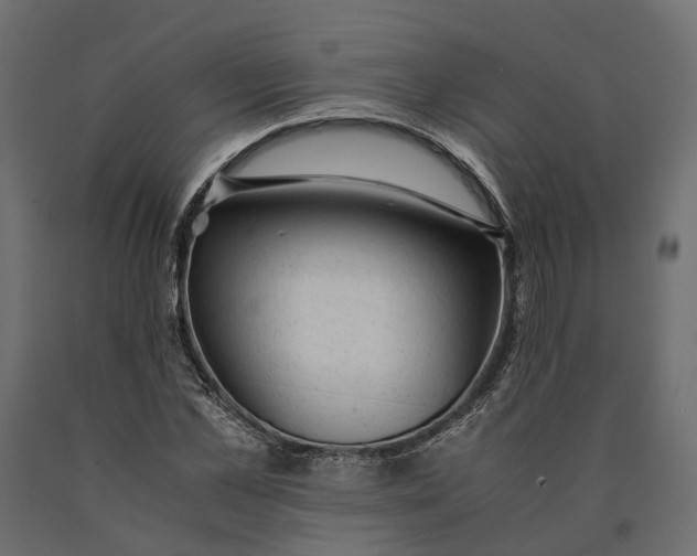 X0000090430973200708031125