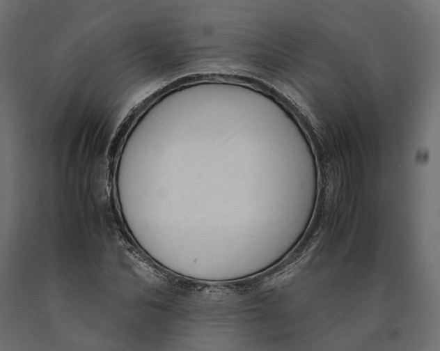 X0000090430974200708031125