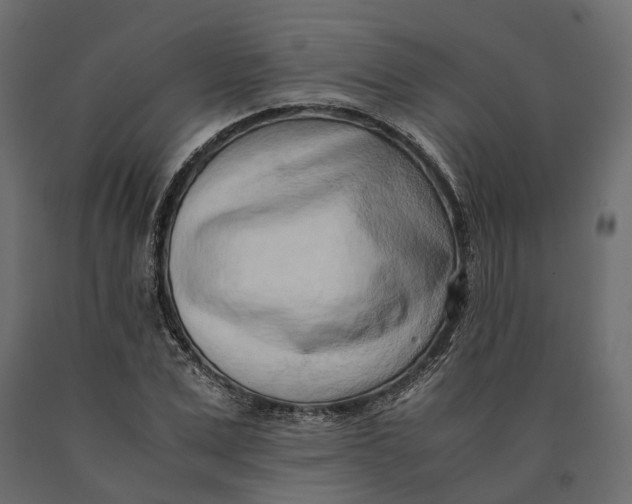 X0000090430975200708031125