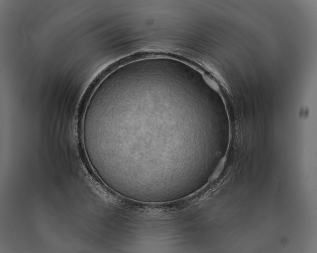 X0000090430976200708031125