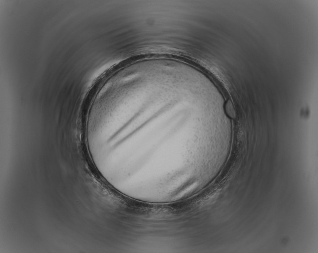 X0000090430979200708031125