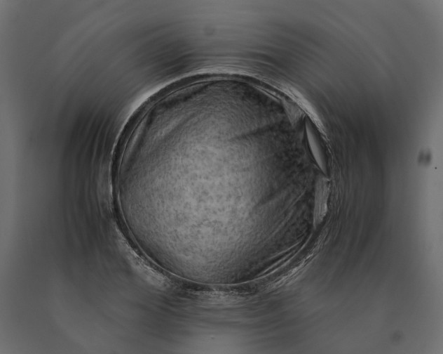 X0000090430980200708031125