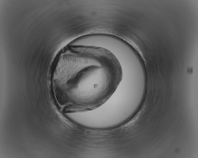 X0000090430981200708031125