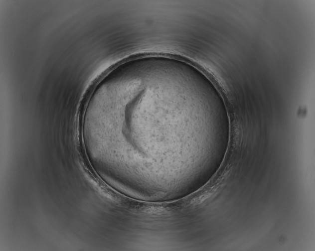 X0000090430982200708031125