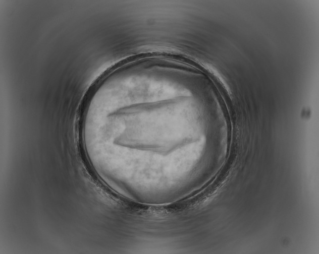 X0000090430983200708031125