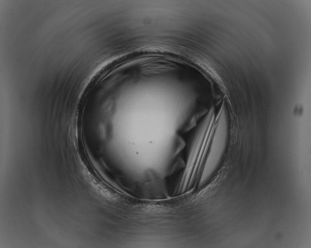 X0000090430984200708031125