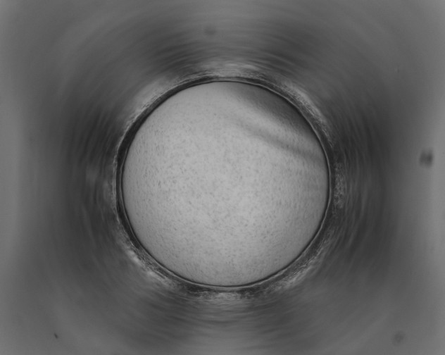 X0000090430986200708031125