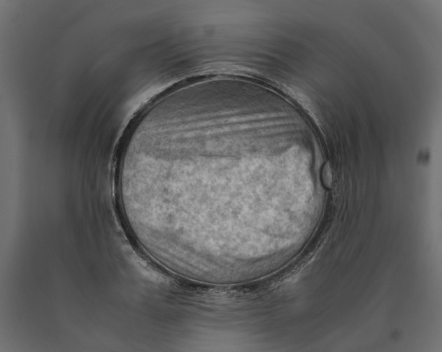 X0000090430987200708031125