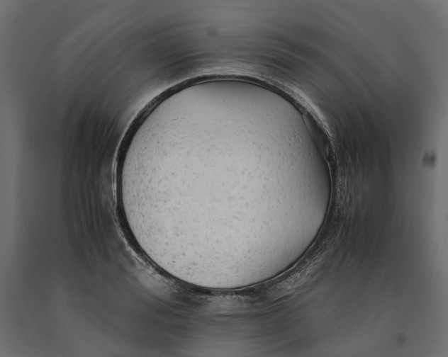 X0000090430988200708031125