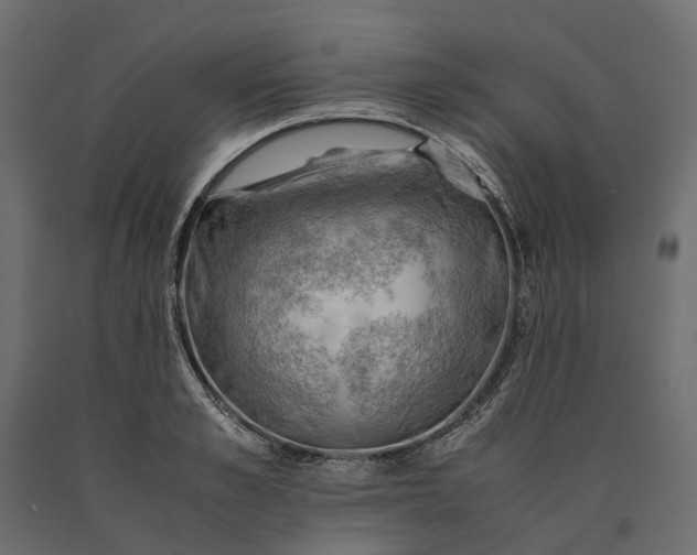 X0000090430989200708031125