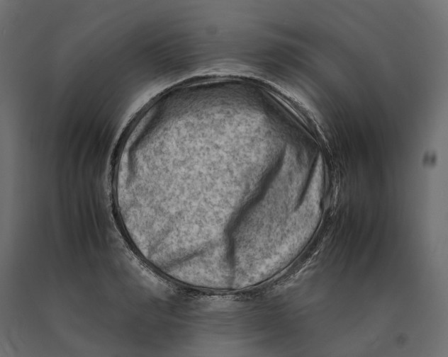 X0000090430990200708031125