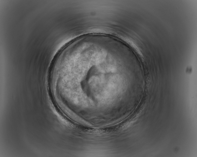 X0000090430991200708031125