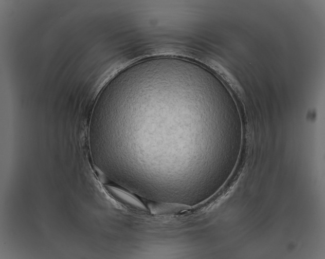 X0000090430993200708031125