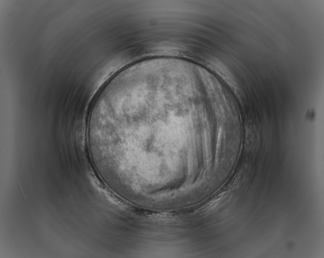 X0000090430994200708031125