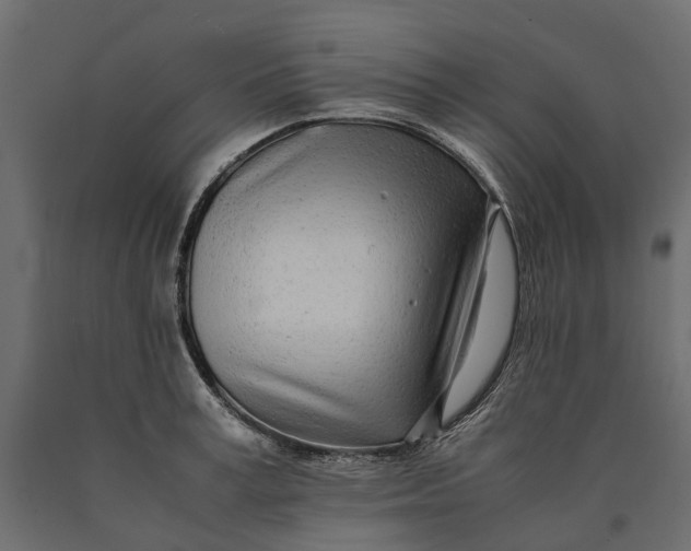 X0000090430995200708031125