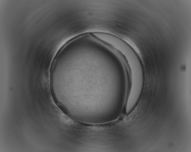 X0000090430996200708031125