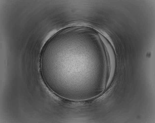 X0000090430997200708031125