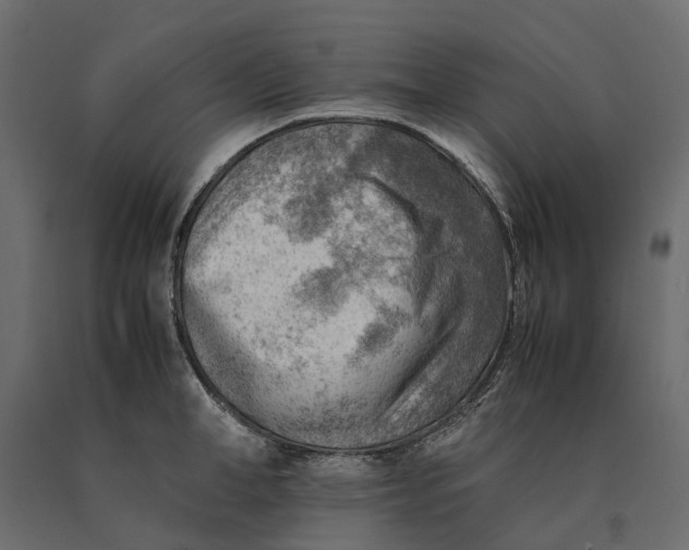 X0000090430998200708031125