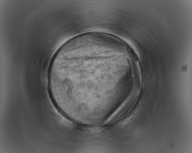 X0000090430999200708031125