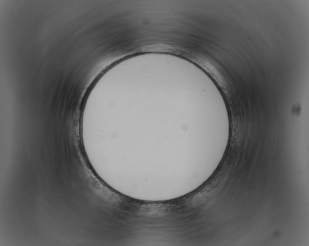 X0000090431000200708031125