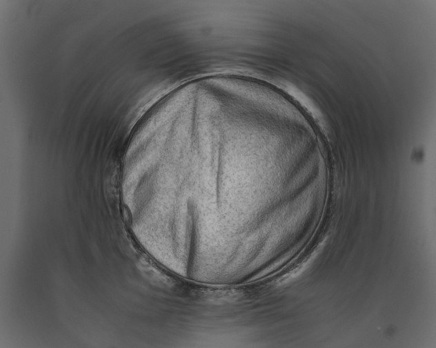 X0000090431001200708031125