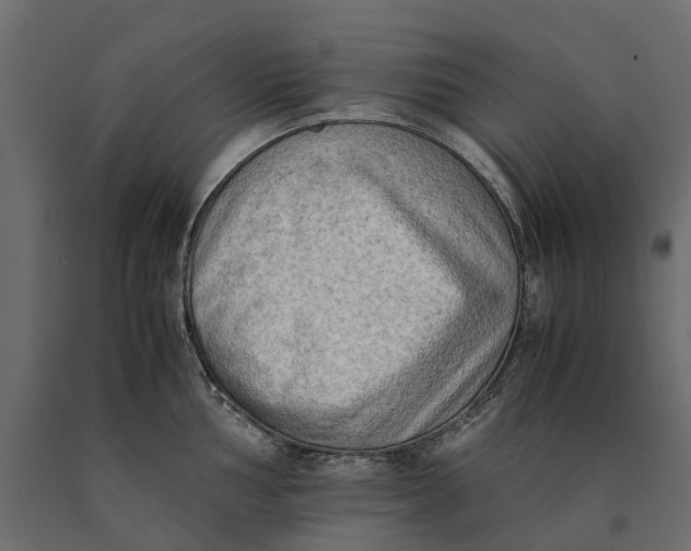 X0000090431002200708031125