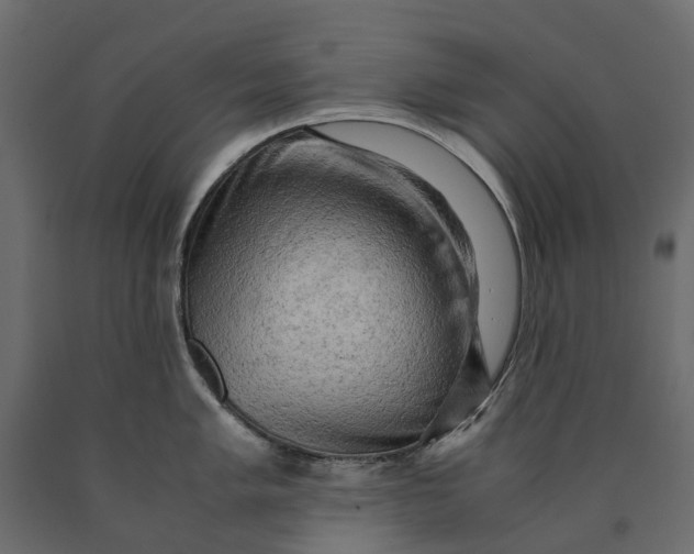 X0000090431005200708031125