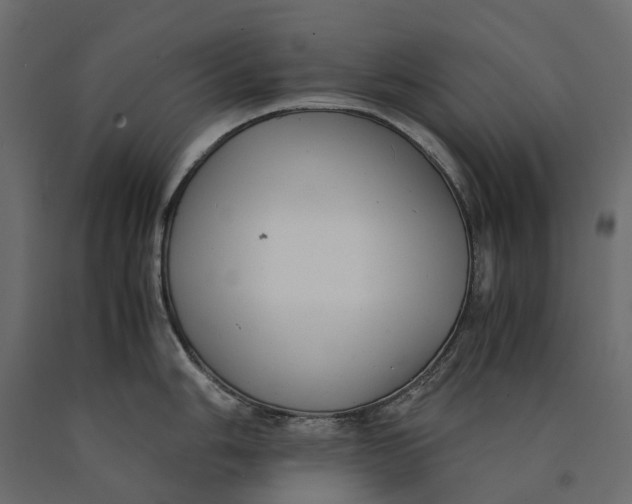 X0000090431006200708031125