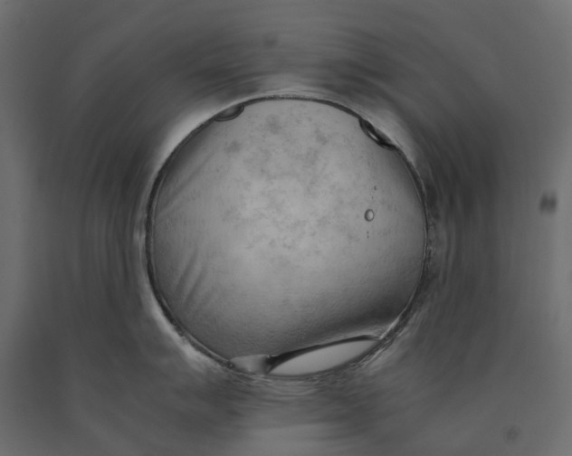 X0000090431007200708031125