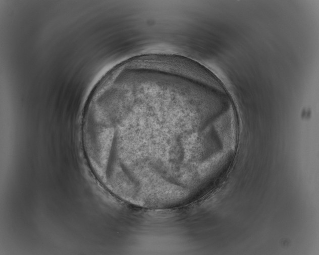 X0000090431008200708031125