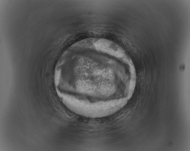 X0000090431009200708031124