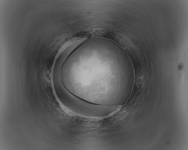 X0000090431010200708031124