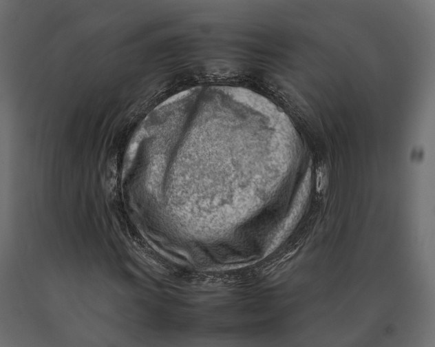 X0000090431011200708031124