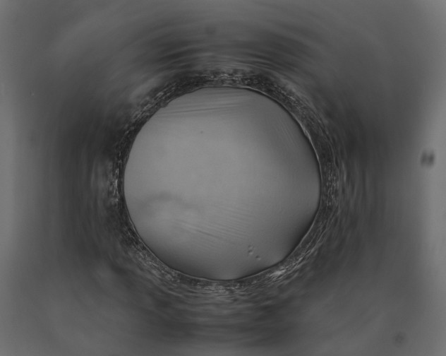 X0000090431013200708031124