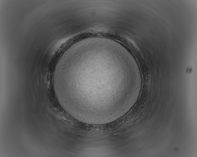 X0000090431016200708031124